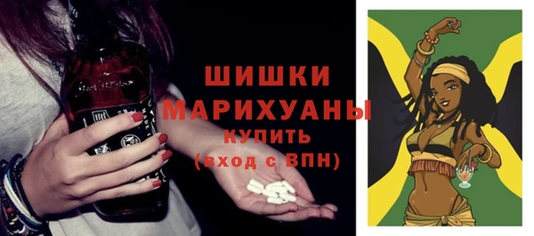 прущие грибы Карпинск