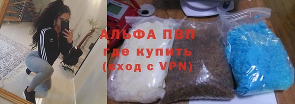 PSILOCYBIN Каменногорск