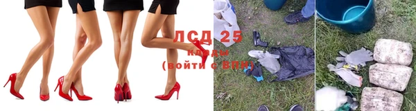 прущие грибы Карпинск
