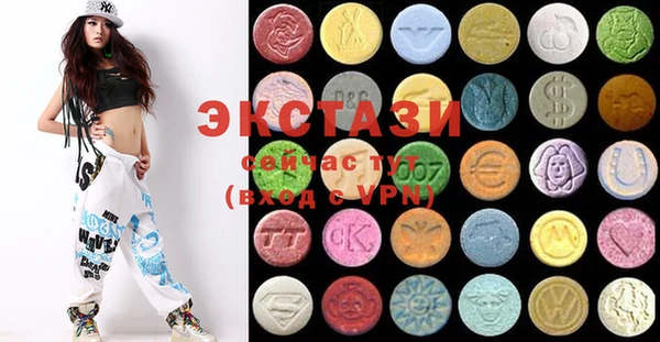 ECSTASY Каменка