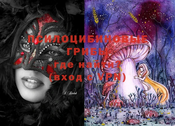 ECSTASY Каменка