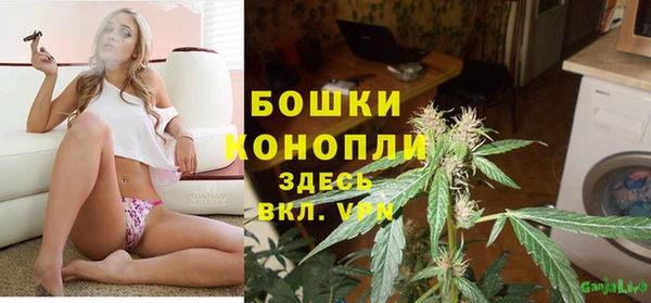 PSILOCYBIN Каменногорск