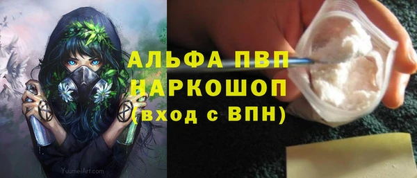 прущие грибы Карпинск